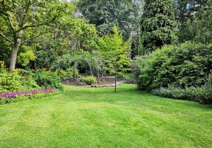 Optimiser l'expérience du jardin à Saint-Leger-Magnazeix
